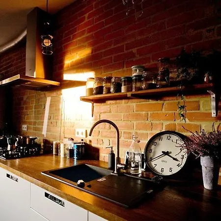 Piękne Loftowe Mieszkanie Na Zielonej Ulicy W Centrum Apartament *