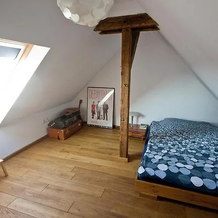 Piękne Loftowe Mieszkanie Na Zielonej Ulicy W Centrum Apartament Wrocław