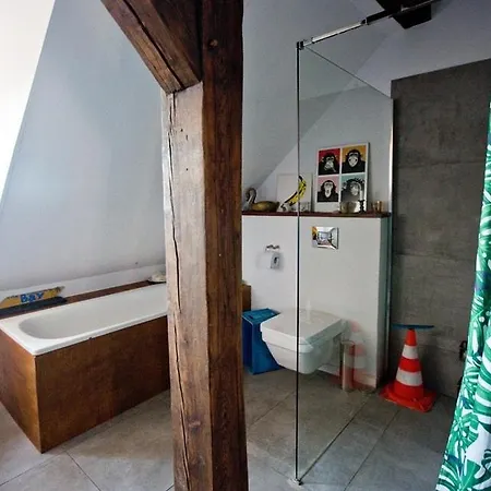Piękne Loftowe Mieszkanie Na Zielonej Ulicy W Centrum Apartament