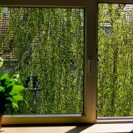 Apartament Piękne Loftowe Mieszkanie Na Zielonej Ulicy W Centrum